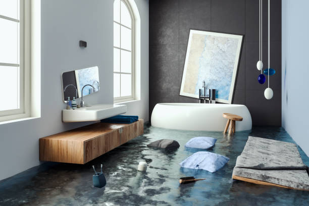 Best Water damage cleanup near me  in Hallsville, TX