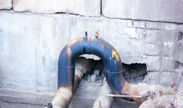 Best Water damage mitigation services  in Hallsville, TX